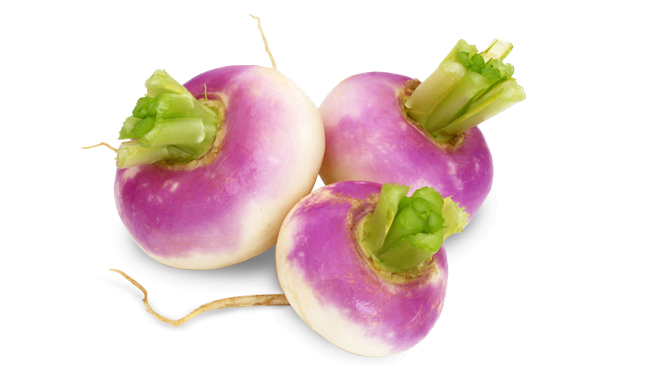 Fresh and natural turnip